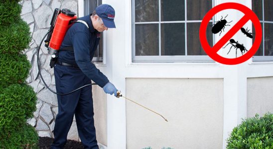 Altınekin Hamam Böceği İlaçlama böcek ilaçlama ve haşere kontrolü — ilaclama-tr.com